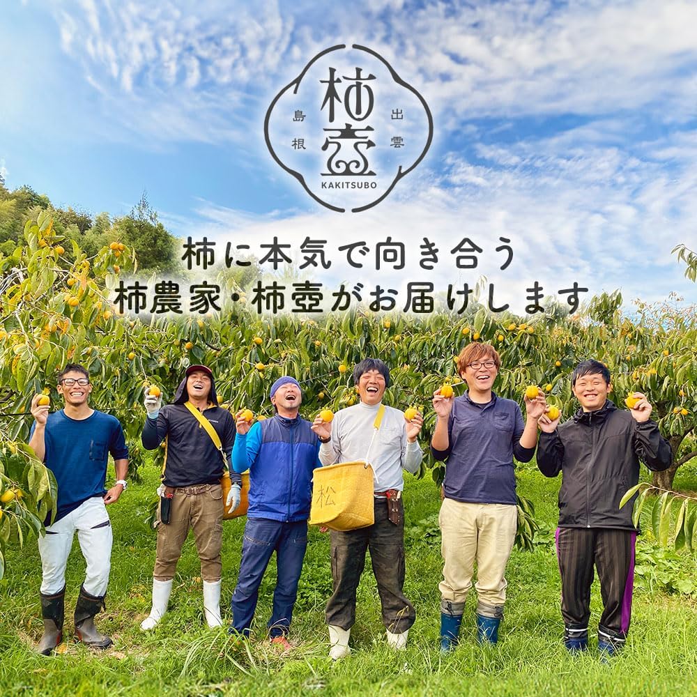 Kaki Tsubo Dried Persimmons Domestic Dried Fruit Seiyo Persimmons Shimane Ambient Temperature Home Use Gift 8 Pieces Small Size