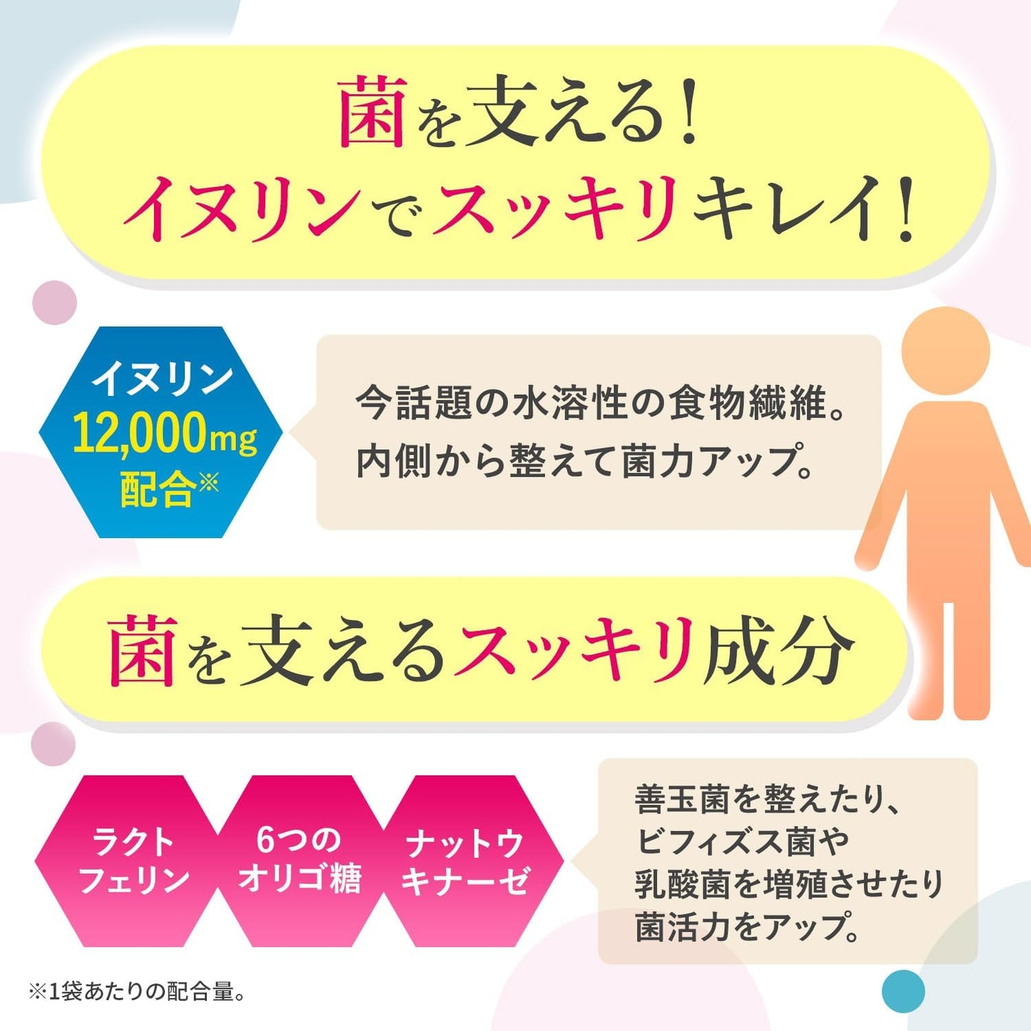 Butyric Acid Bacteria, 2.5 Billion Pieces, Short Chain Fatty Acids, Lactobacilli, Bifidobacteria, Fructo-Oligosaccharides, Lactoferrin, 6 Types of Oligosaccharides, 100 Tablets, GMP Factory in Japan