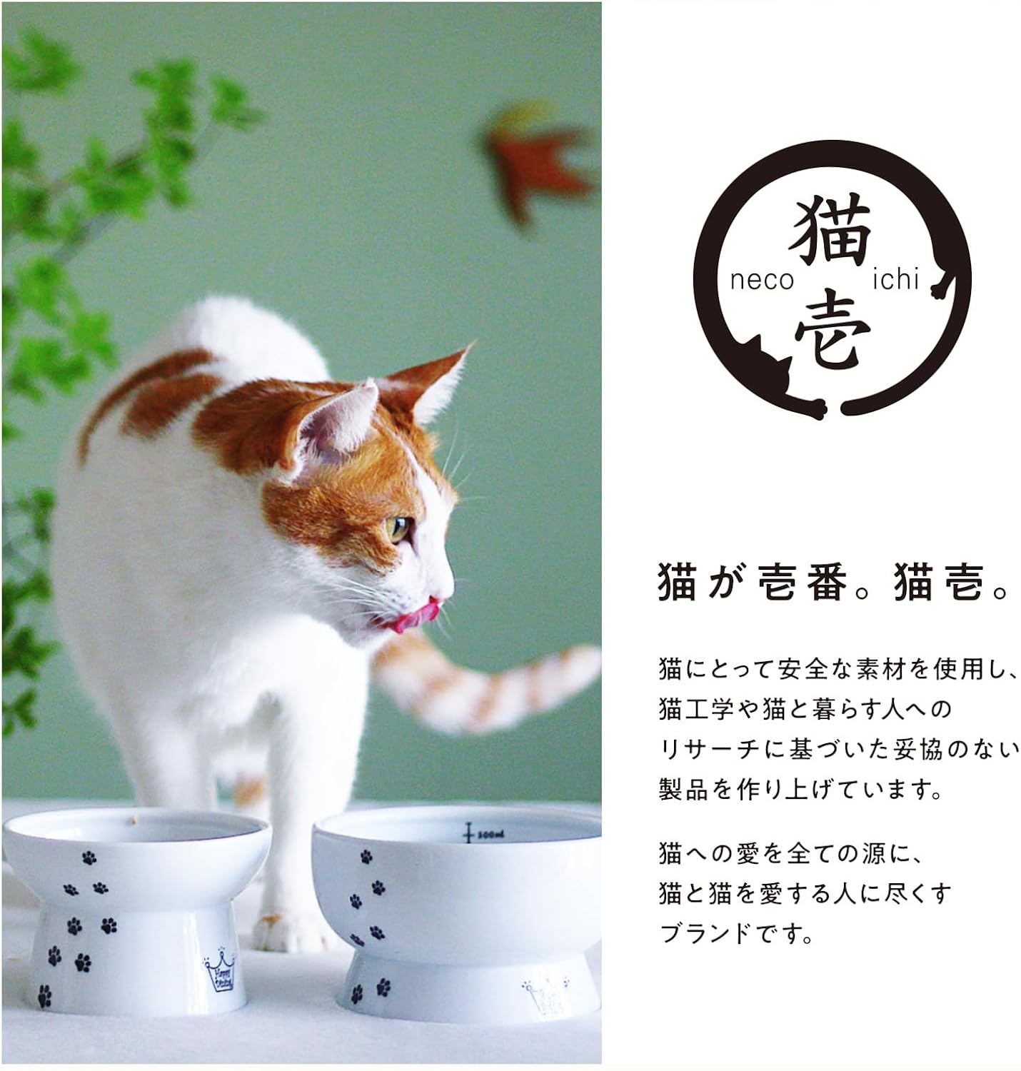 Neichi Bali Bowl Pokémon Nail Sharpener Regular Cat