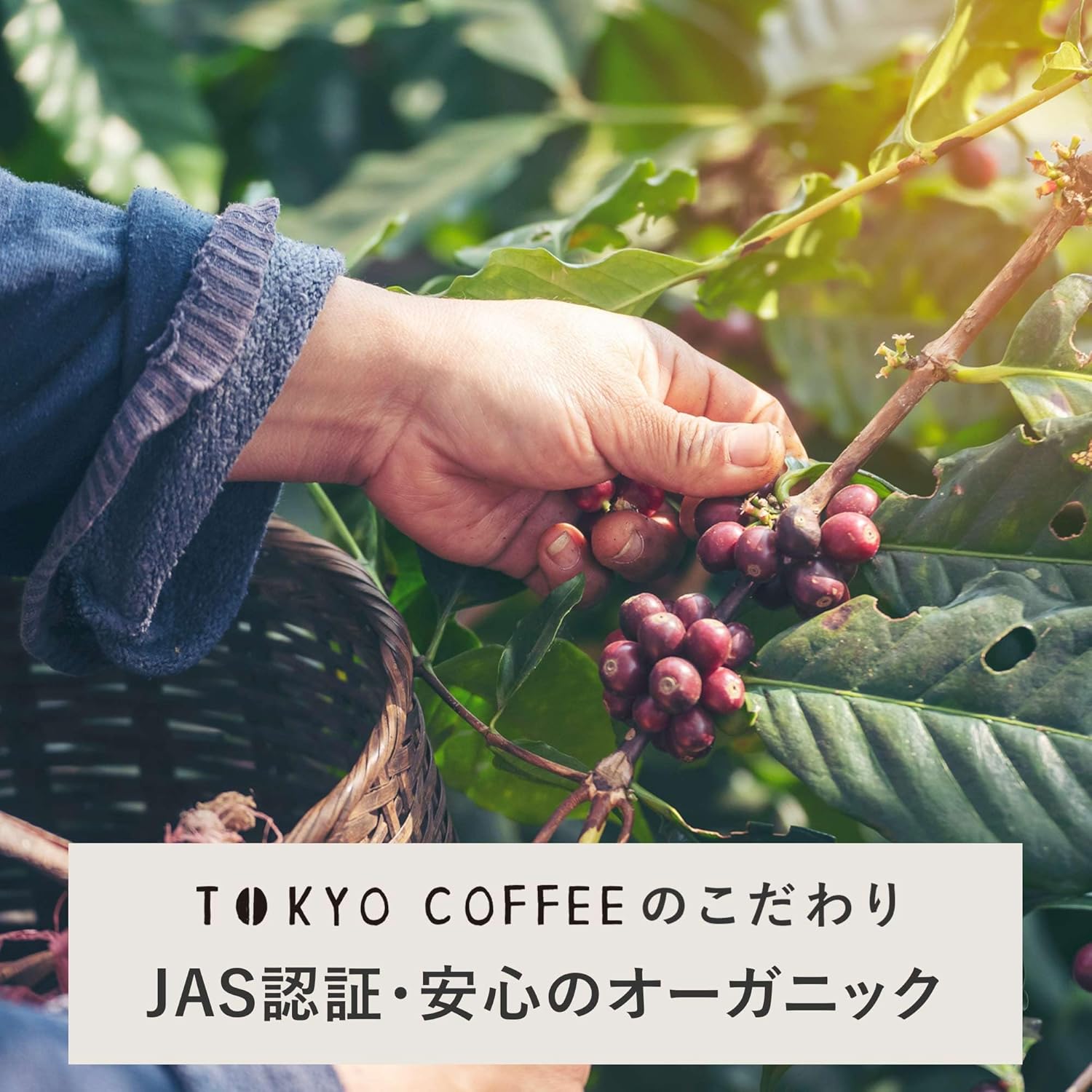 Tokyo Coffee Original Organic Drip Coffee, Regular Coffee, Drip Pack, 5 Bags, Petite Gift