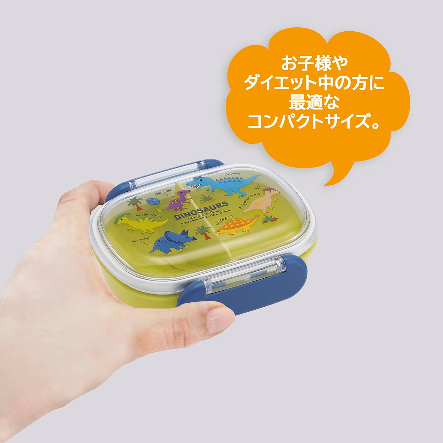 Skater QAF1AG-A Children's Bento Box, Small Size, 1 Tier, 270ml, Fluffy Dome, Dinosaur Picture Book, Antibacterial Treatment, For Kids, Made in Japan