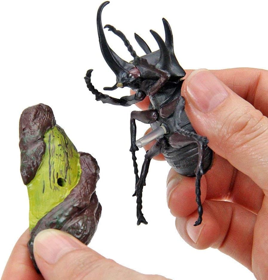 カロラータ 立体図鑑 カブトムシ フィギュア (6種 / 解説書付き) リアル おもちゃ (知育玩具) 誕生日 ギフト プレゼント (食品衛生法クリア) ライナセラスビートル/リアルフィギュアボックス 模型/クリスマス クリスマスプレゼント