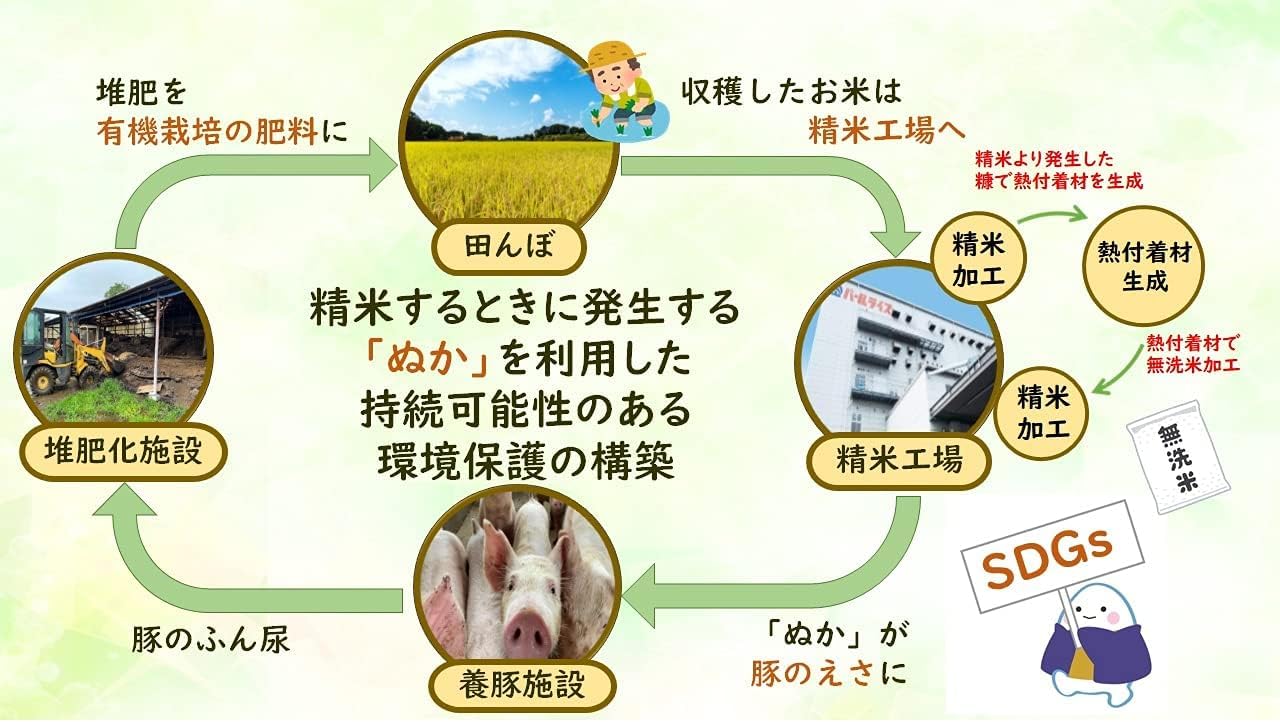 by Tochigi Prefecture Koshihikari Wash-Free Rice 5kg (11.0 lbs) Reiwa 7th Year Crop