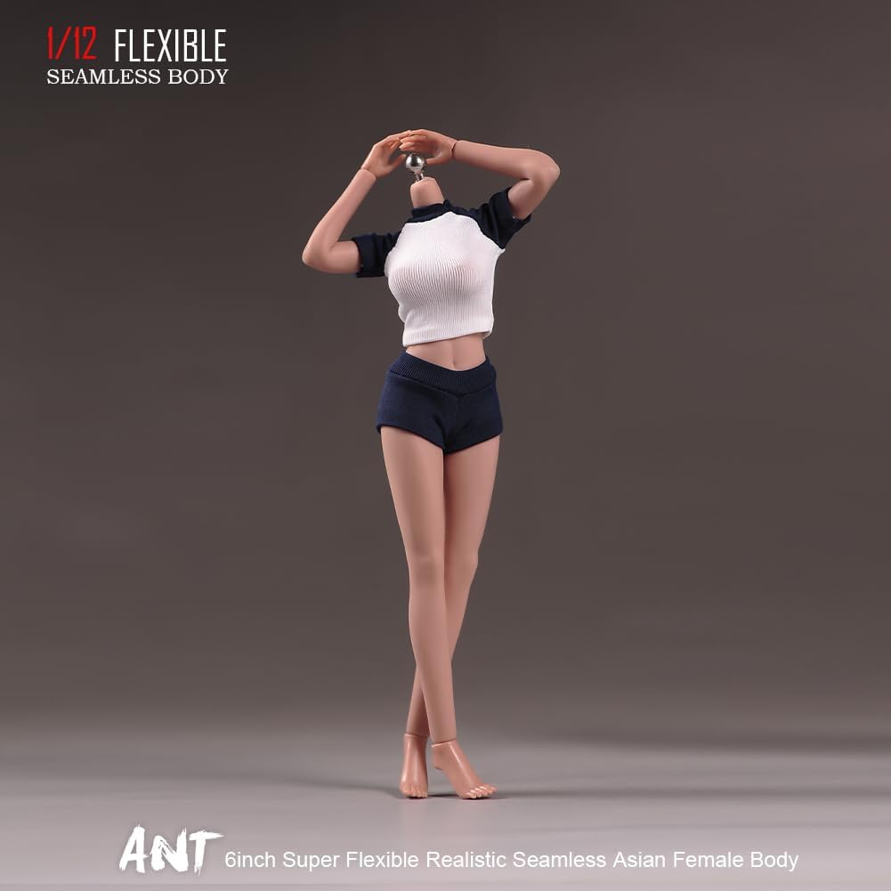 1/12 scale female body, 6.inch ultra flexible 22 joints seamless female body micro beauty three-dimensional action doll, removable foot model, suitable for hobby collection (muscle muscles)
