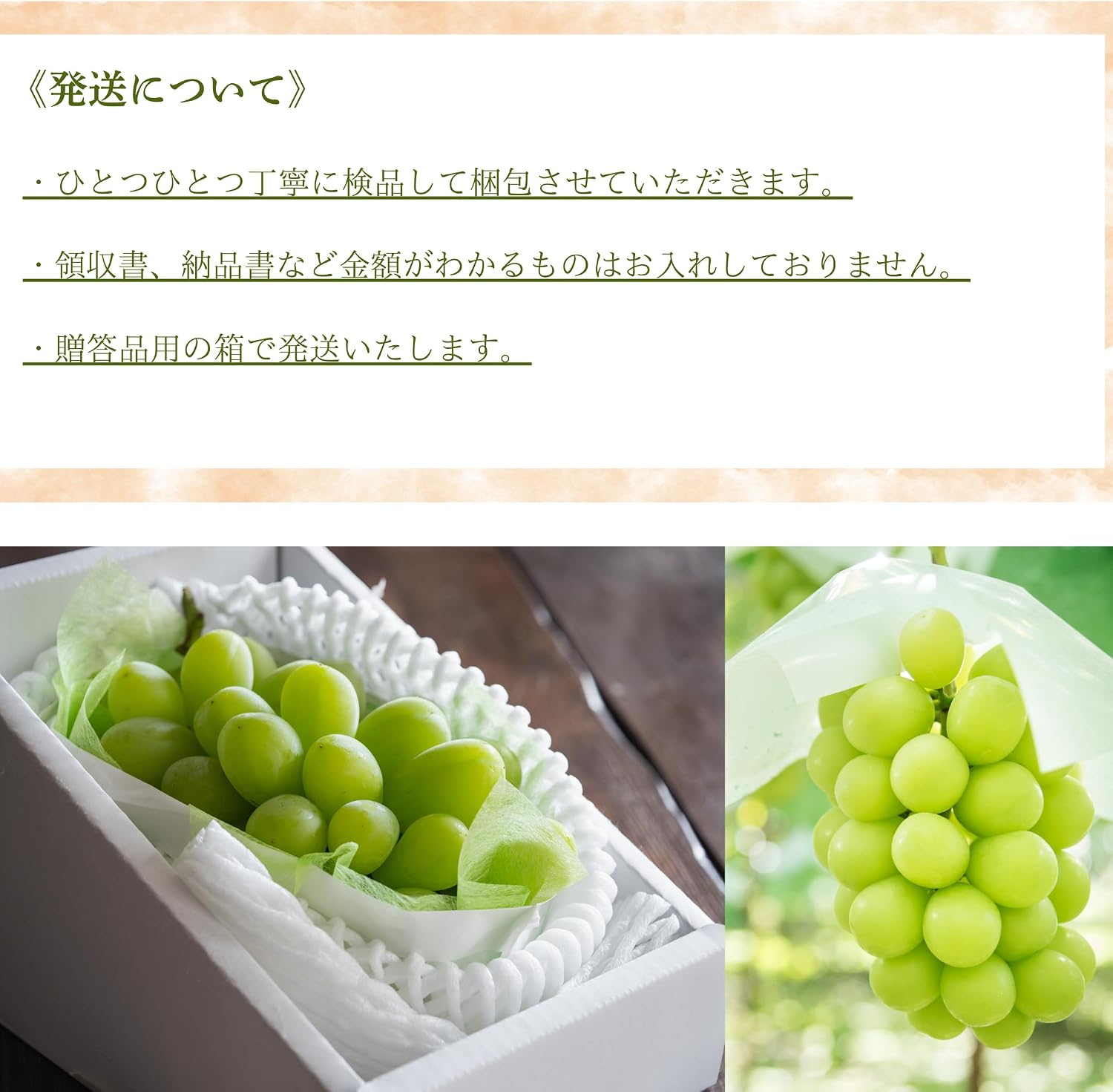 Shine Muscat Haruo Okayama Prefecture 14.1 oz (400 g) x 2 Bunches, Gift, High Sugar Content for Home, Grapes, Muscat, Medium Size, Sweet, Excellent