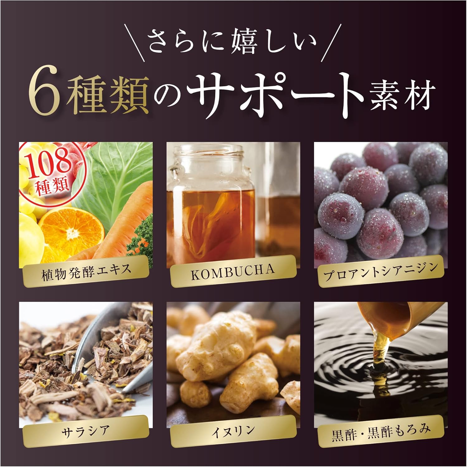 Aokinomori Black Ginger Lactic Acid Bacteria Food with Functional Display K-1 Salacia, Inulin, Kombucha, Enzyme, Black Vinegar, Proanthocyanidin, 90 Tablets, 30 Day Supply