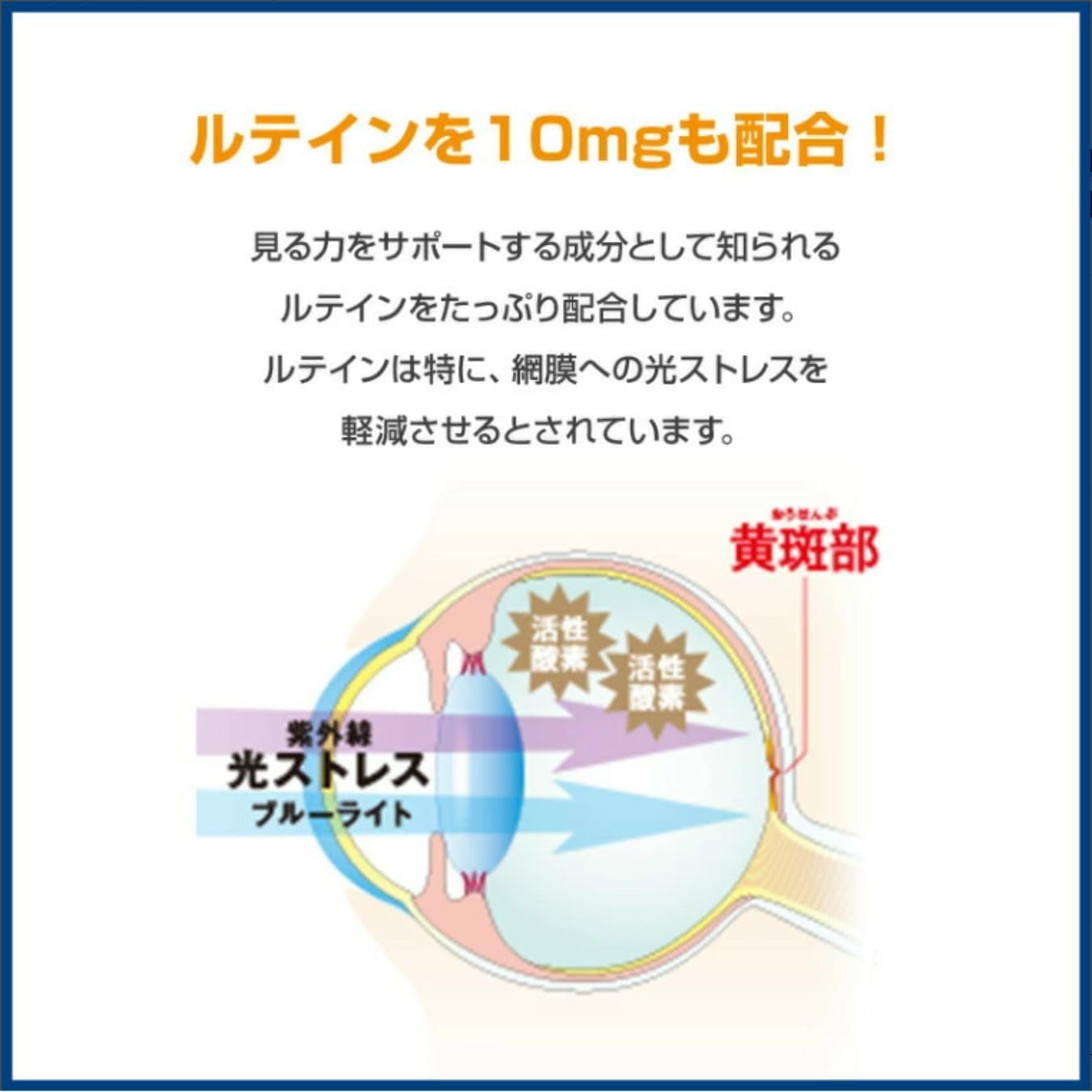 Rohto V5 【Official】Rohto V5 Act Vision Large Capacity 62 Pills (2 Months Supply) Lutein Zeaxanthin Functionally Labeled Food (Vision, Visual Field, Blurred Vision, Blue Light)