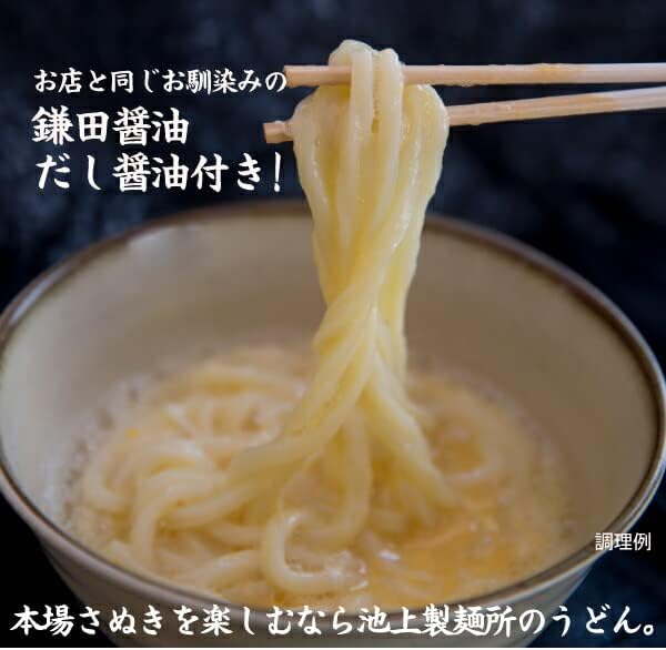 Specialty Kamatama Udon Noodles from Ikegami Noodle Factory, 6 Servings, Sanuki Udon, Local Gourmet, Direct from Producer, Donmai