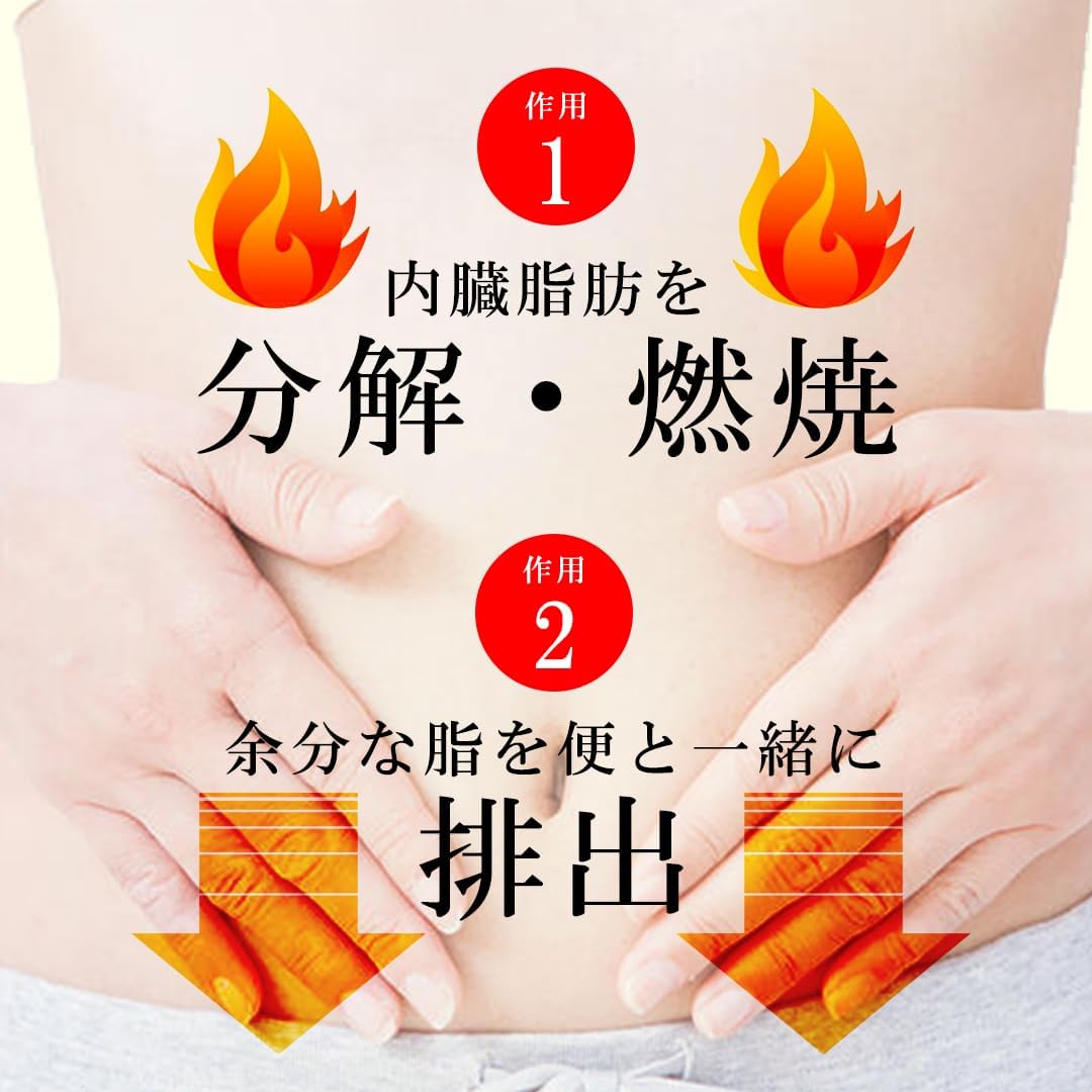 【第2類医薬品】本草防風通聖散エキス錠-H 360錠