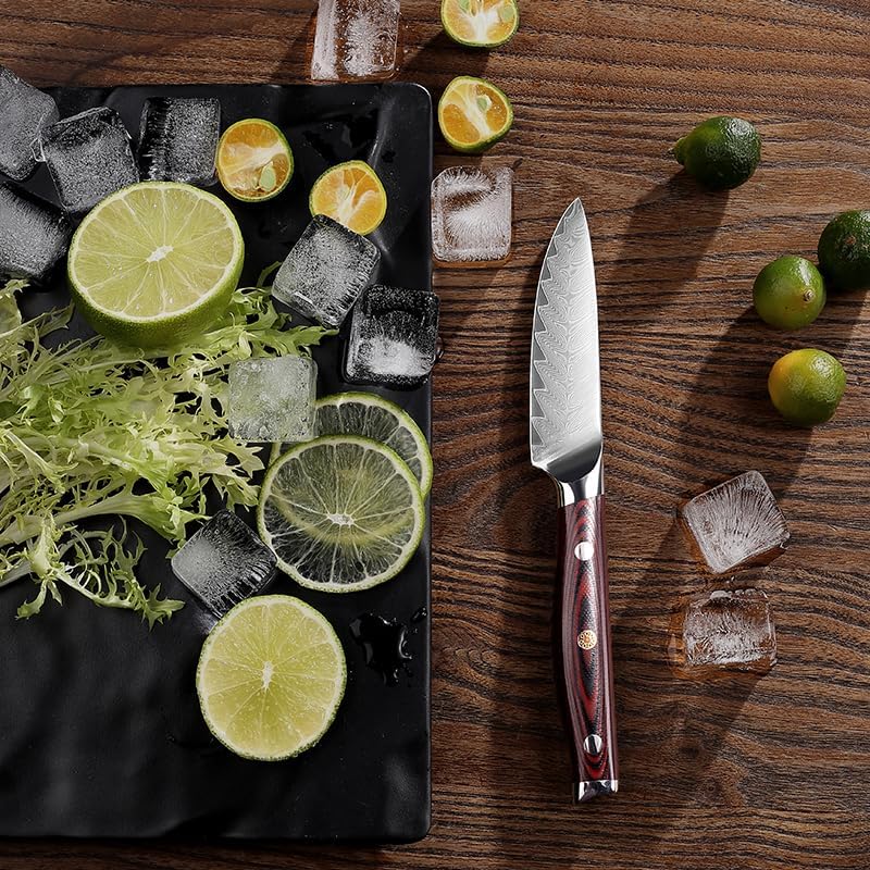 PAUDIN Petty Knife Cake Knife 90mm Paring Knife Damascus Knife 67 Layers VG10 Stainless Steel G10 Handle Double Edge Left Hand Fruit Knife Bird Feather Luxury Knife Birthday Wedding Gift Gift