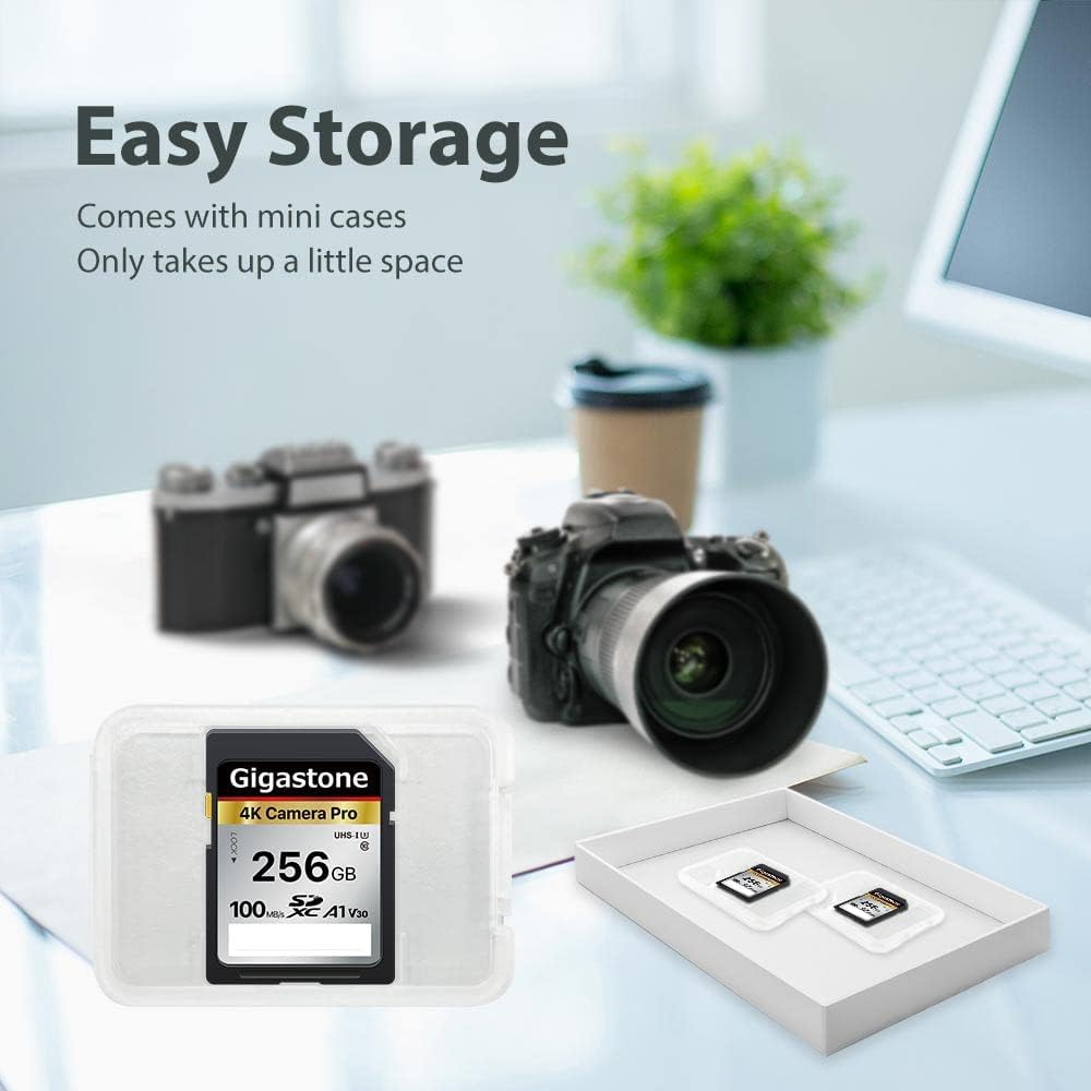 Gigastone SD Card 256GB Memory Card A1 V30 U3 Class 10 SDXC High Speed 4K UHD & Full HD Video for Canon Nikon and More Digital Camera SLR with 1 Mini Case