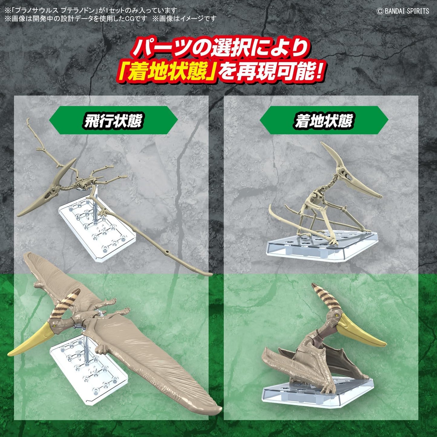 Bandai Spirits Planosaurus Pteranodon Color Coded Plastic Model