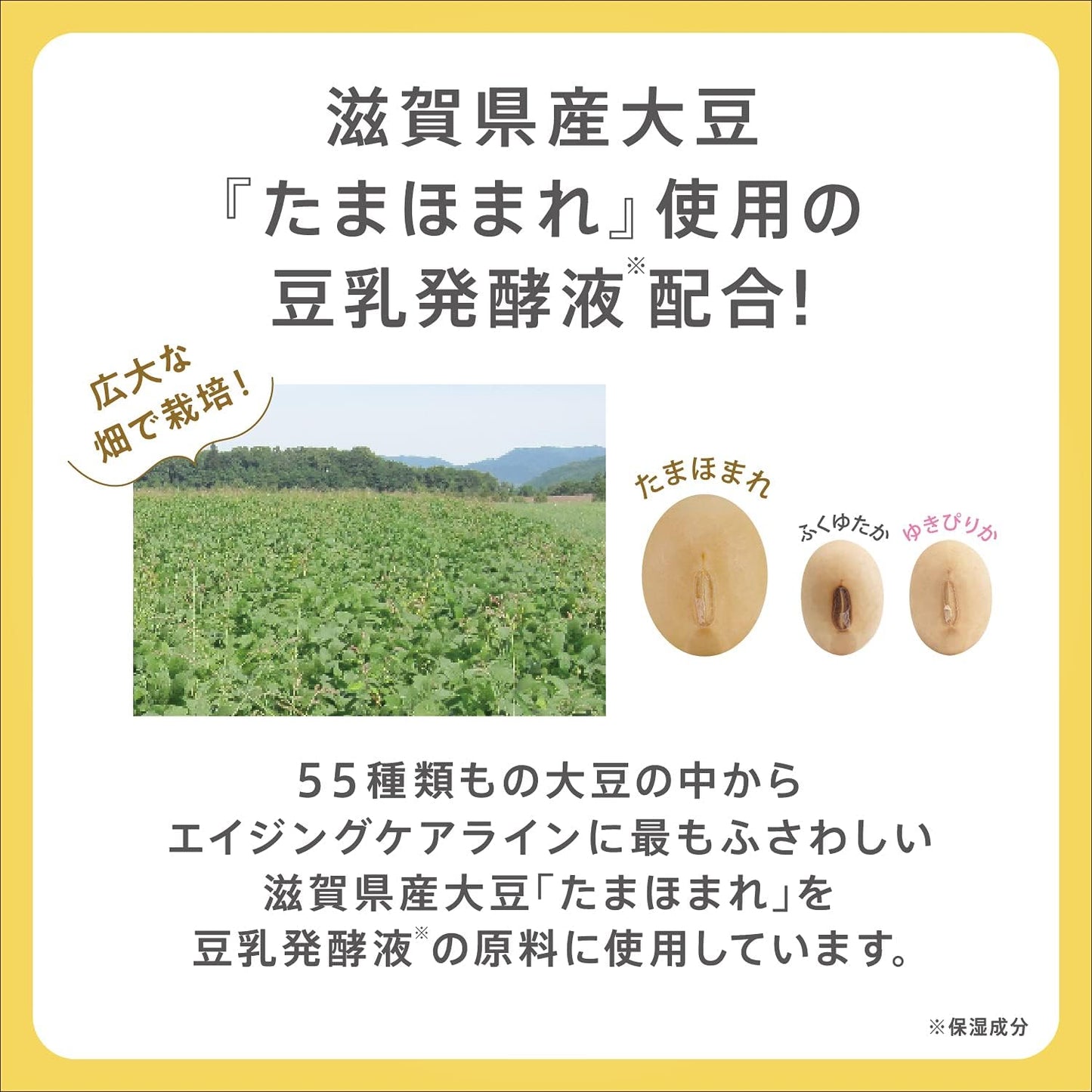 NAMERAKA Wrinkle UV Milky Lotion SPF 43 PA+++ 6 in 1 (Lotion, Serum, Milky Lotion, Cream, UV Protection, Light Makeup Effect), Soap Off