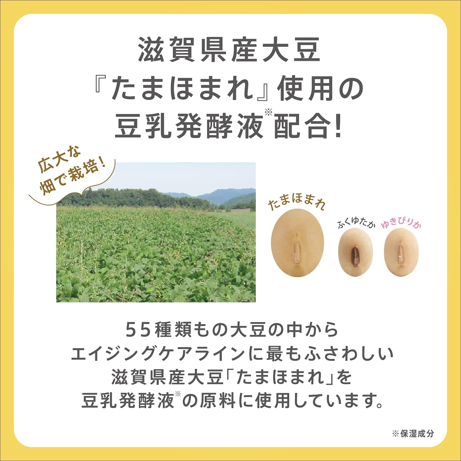 NAMERAKA Wrinkle UV Milky Lotion SPF 43 PA+++ 6 in 1 (Lotion, Serum, Milky Lotion, Cream, UV Protection, Light Makeup Effect), Soap Off