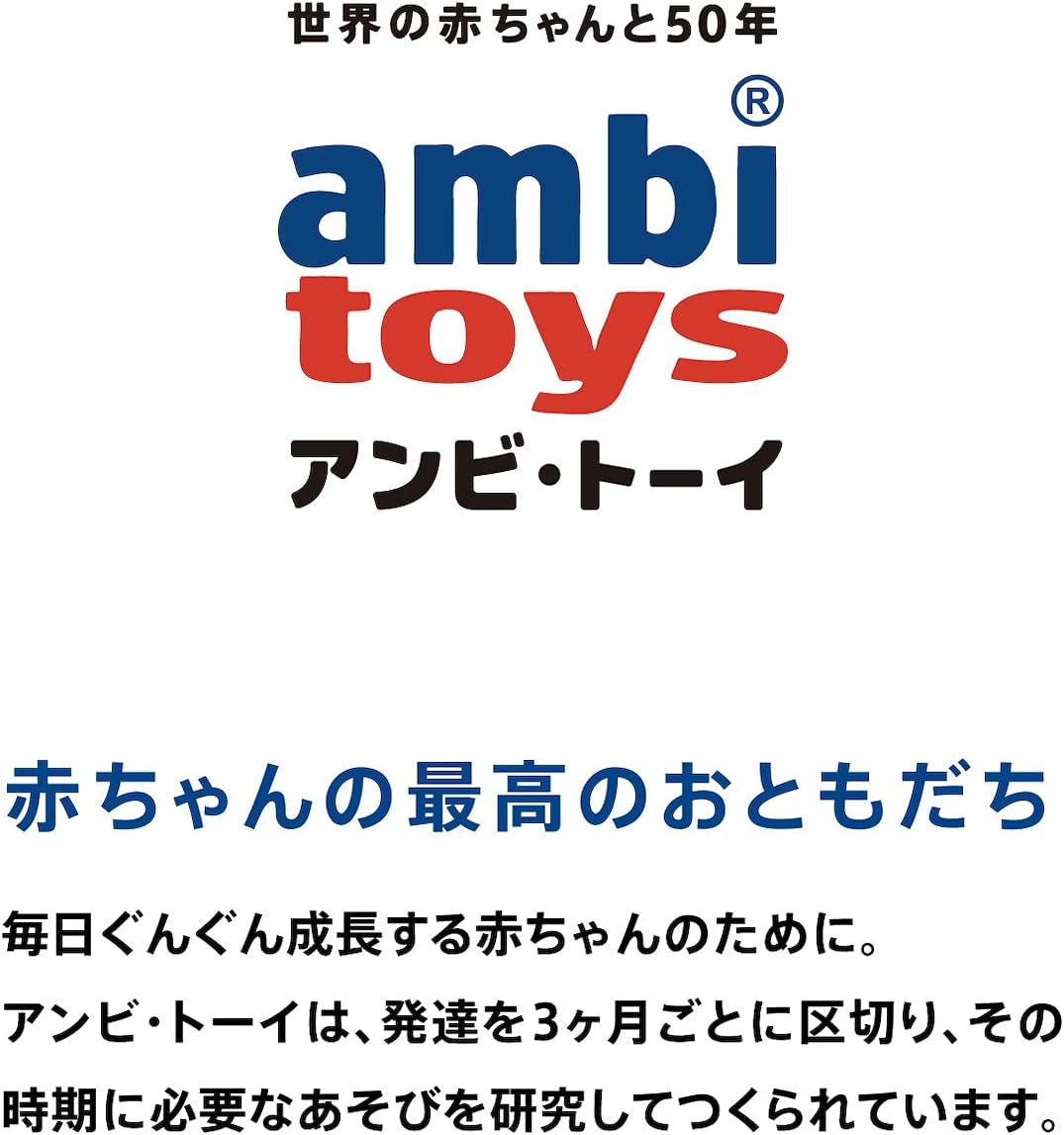 ボーネルンド アンビトーイ (ambitoys) アクティビティ・ケース 6ヶ月頃 AM31103J