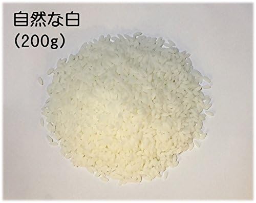 Food Sample Material Made in Japan Rice Natural White Standard 200g by Shokunin Sample Shop Yamato Soul