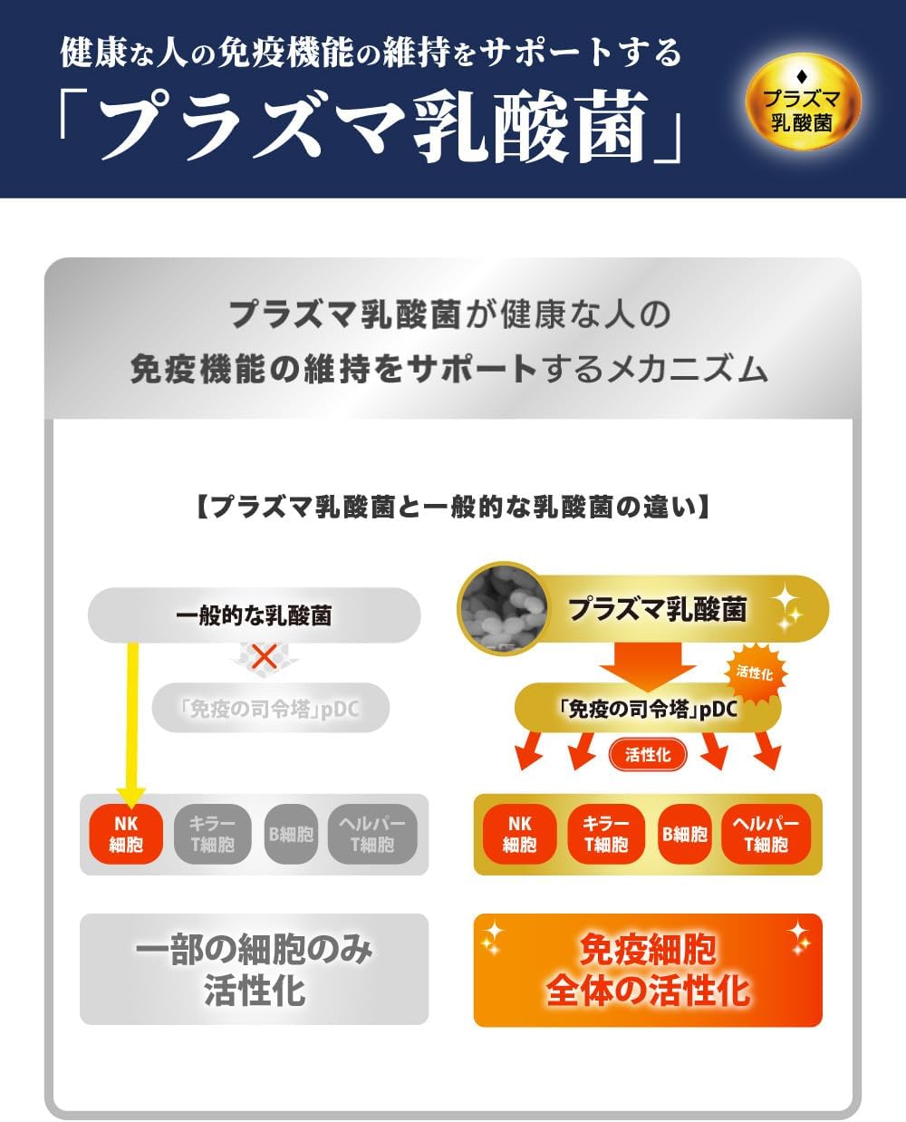 Kirin Ornithine PRO Sleep & Immune Care 15-Day Supply Supplement Functionally Labeled Food Plasma Lactic Acid Bacteria Ornithine Immune Sleep Care Sleep Quality Tablets Small Particles Kirin [No Liver