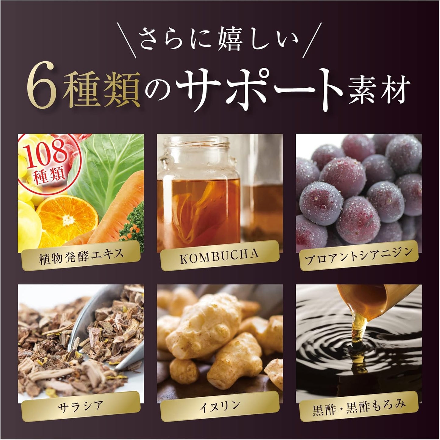 Aokinomori Black Ginger Lactic Acid Bacteria Food with Functional Display K-1 Salacia, Inulin, Kombucha, Enzyme, Black Vinegar, Proanthocyanidin, 90 Tablets, 30 Day Supply
