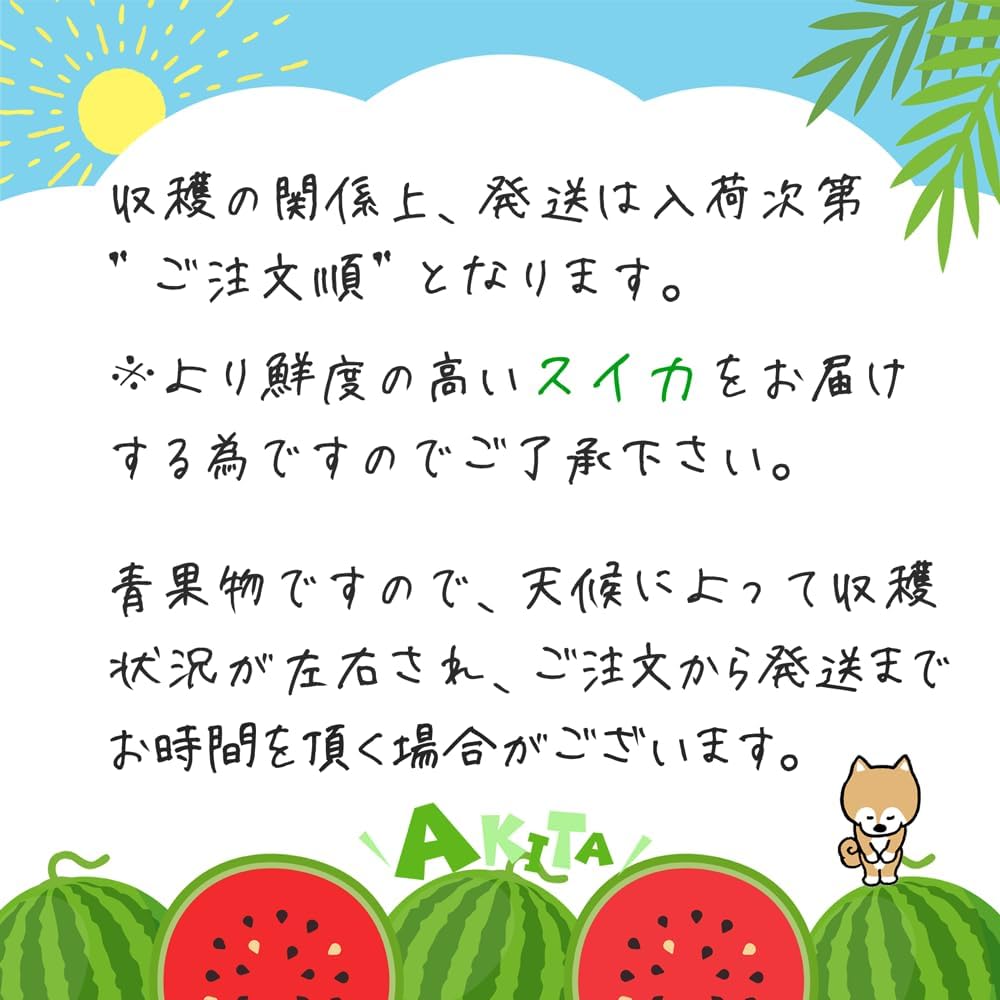 JA Komachi Akita Natsunamaru Chiche, Small Watermelon, Made in Akita Prefecture, L x 2 Balls, Approx. 11.0 lbs (5 kg) - 13.2 lbs (6 kg), Shipping Time: Mid July - Early August, Delivery Date cannot be specified