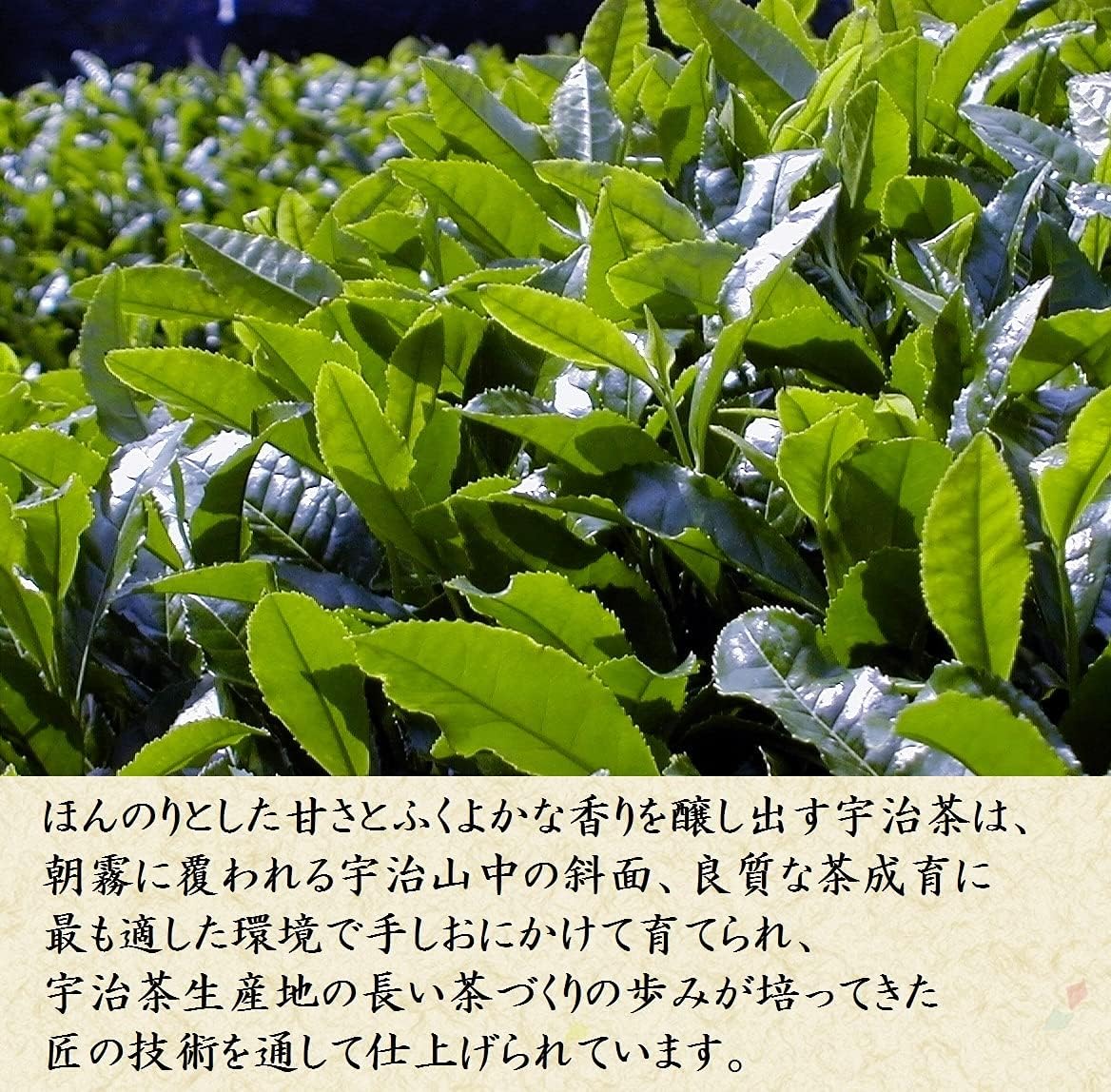 Kiyosumi Onakamen Uji Tea Gift 4.2 oz (120 g) x 2 Guru Sencha Cloth Wrapped Uji Tea Luxury Gift Green Tea Set Tea Leaves Ichiban Tea Gift Souvenir Gift