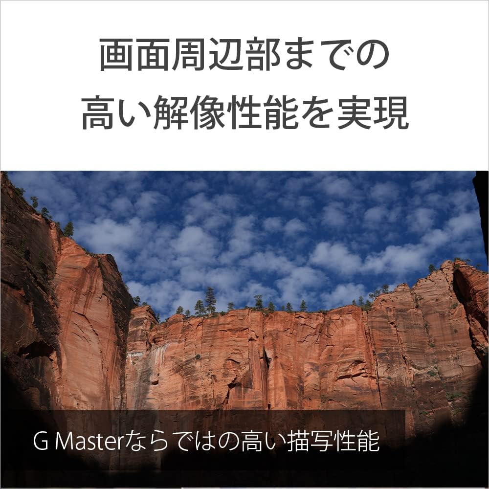 Sony SEL50F14GM Standard Monofocal Lens Full Size FE 50mm F1.4 GM G Master Digital SLR Camera α [E-Mount] Genuine Lens