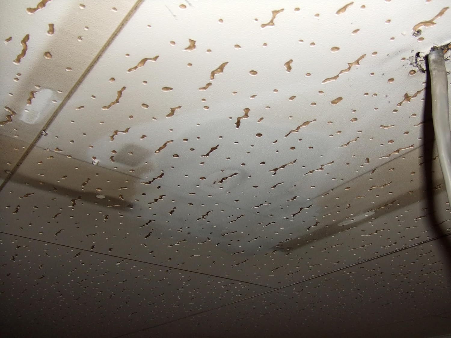 A Must Have Cleaning Item That Can Be Used Anywhere! All-Purpose Craftsmen Commercial Formula 4 L!