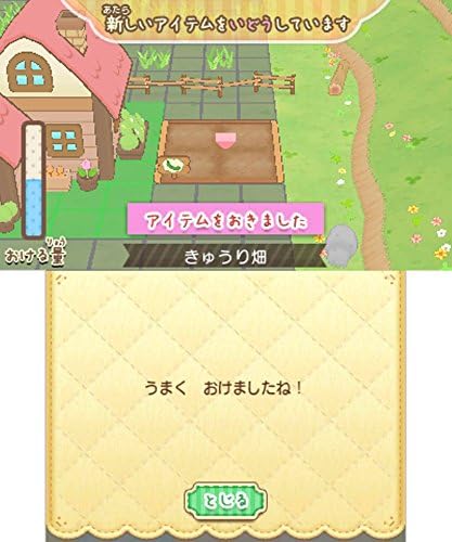 すみっコぐらし むらをつくるんです - 3DS