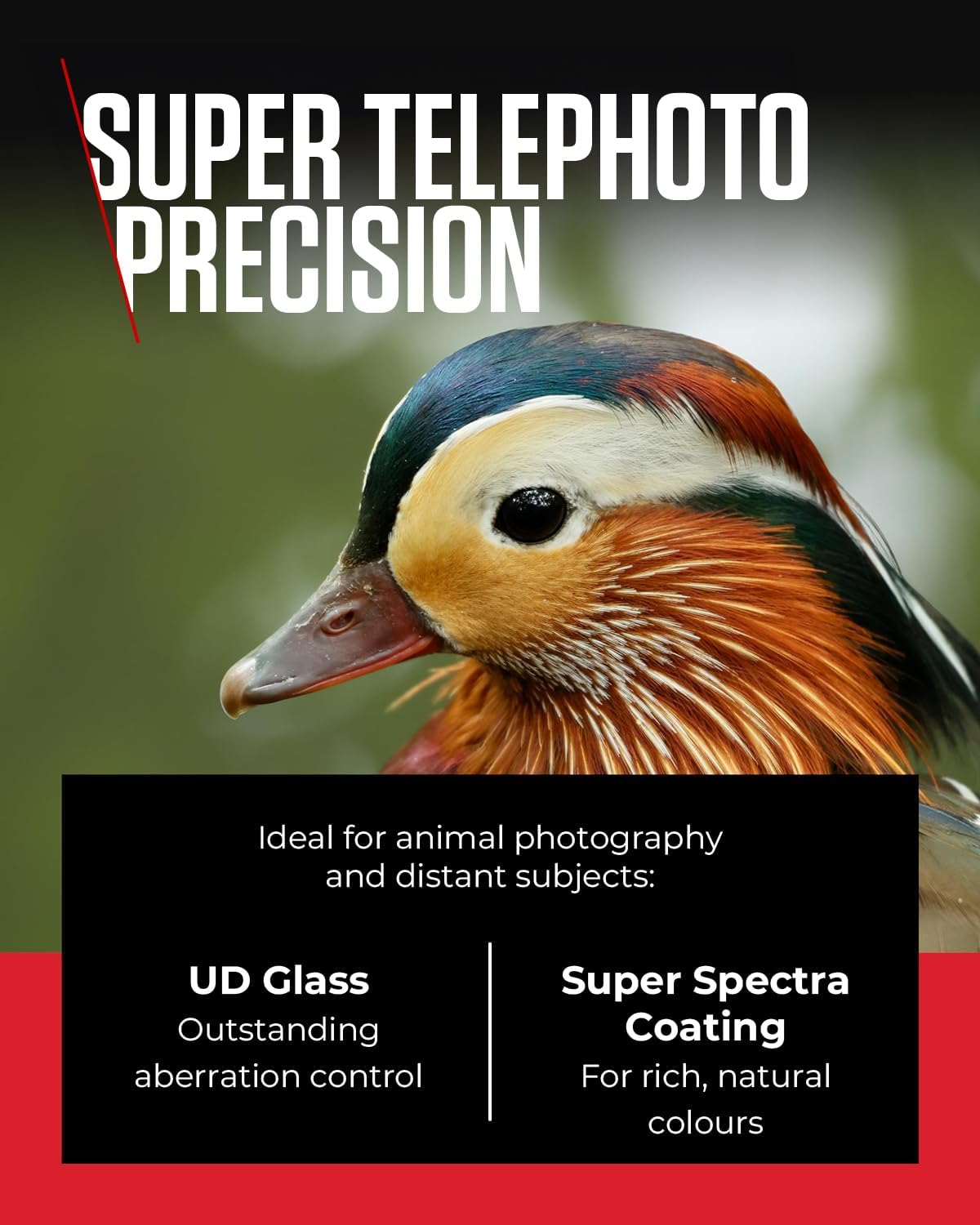 Canon RF 100-400mm F5.6-8 IS USM - Lens for Canon R System Camera Ideal for Wildlife Photography, Sports, Action, Aviation