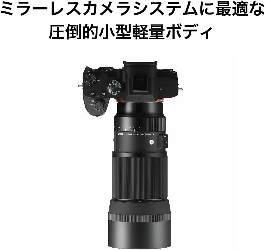 Sigma Sony E-Mount Lens 105mm F2.8 DG DN MACRO Monofocal Telephoto Full Size for Art Mirrorless