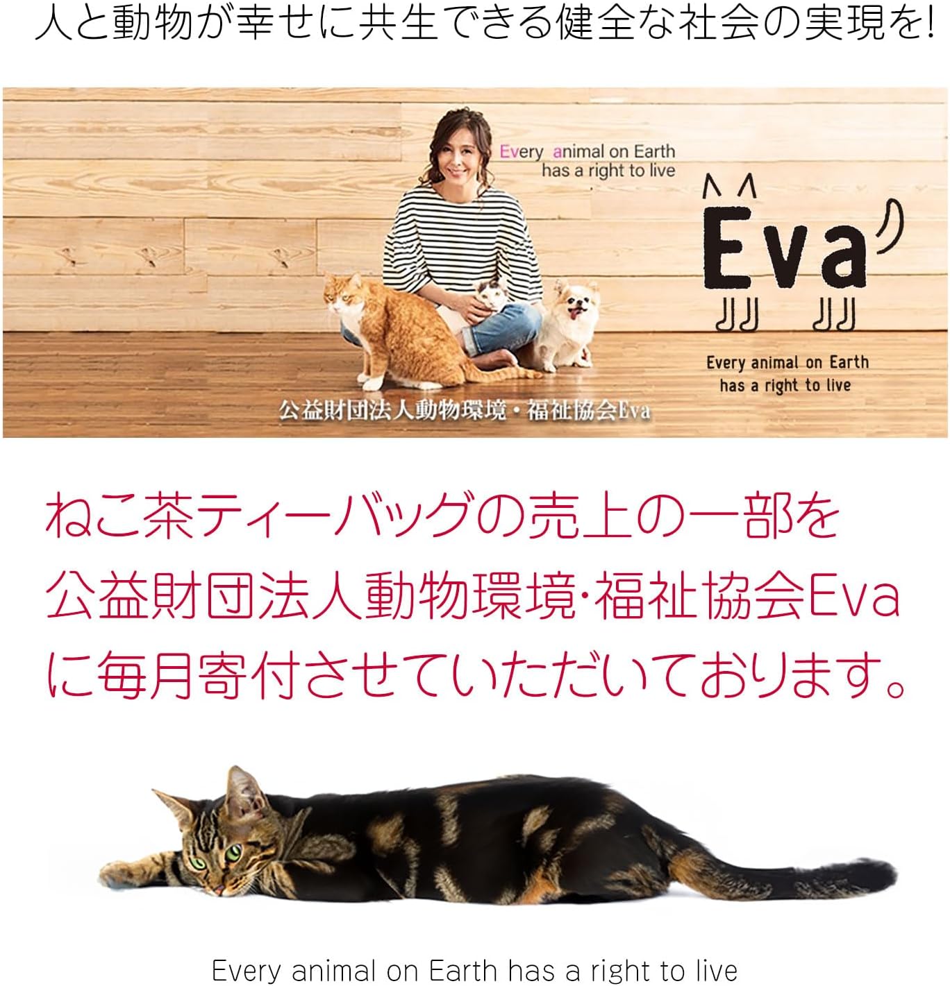 Neko-cha Brown Rice Tea Bag with Matcha (3 Packs), Cat Figure, Mitarashi-chan (1 Piece), "Thank You" Message Included, Petite Gift
