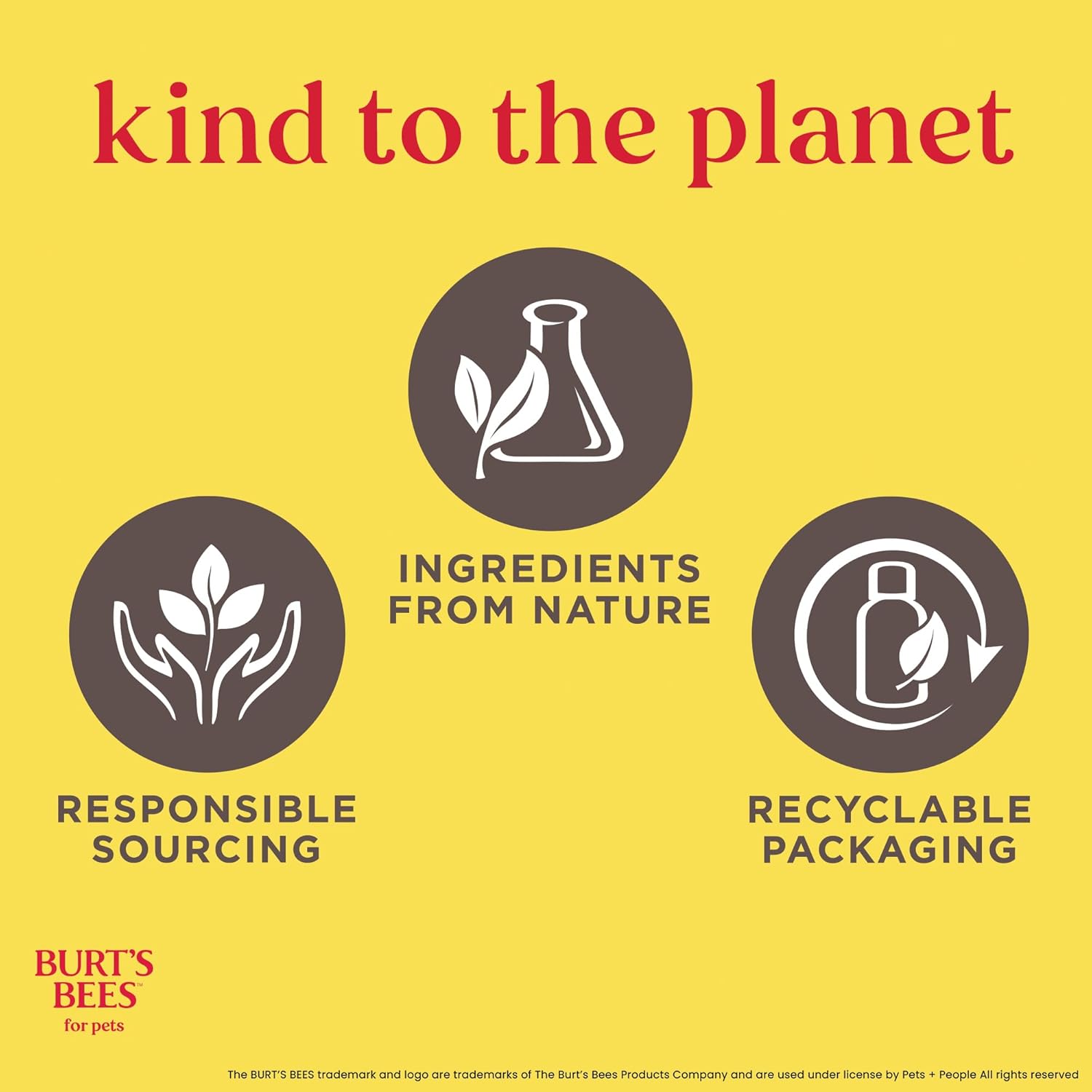 Burt's Bees for Pets Champú y acondicionador para cachorros sin lágrimas con suero de leche, champú suave 2 en 1 para cachorros, limpia y acondiciona la piel sensible, 16 onzas líquidas, paquete de 6