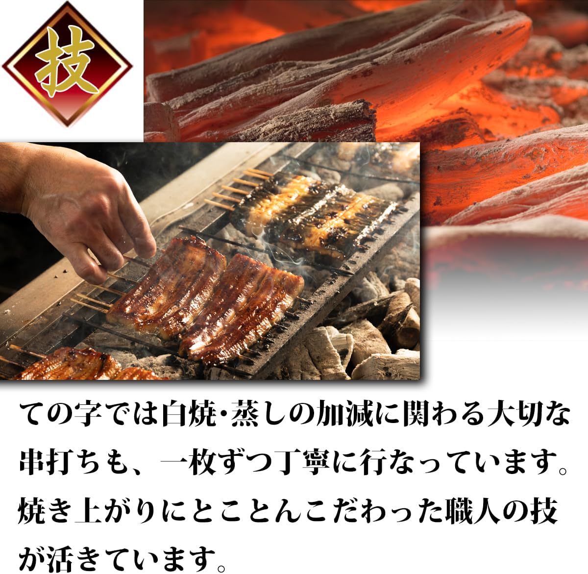 Unagi Tenoji Unagi Kabayaki Frozen Vacuum Pack. 120g×5 Set, Tenoji Decorative Box Included. Suitable for home use or as a gift. Ready to eat after thawing. Present Gift Eel Frozen Great Value