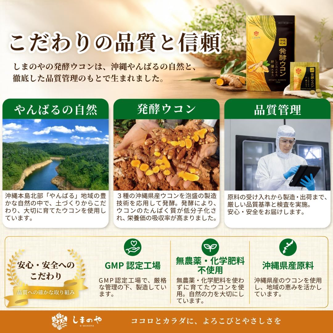 Shimanoya Ryuku Fermented Turmeric Supplement (Contains 3 Types of Turmeric