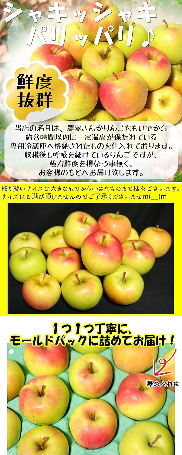 Aomori Prefecture, Rookie Shop, 6.6 lbs (3 kg) Box, Gumma Nazetsuki Apples, For Home Use, 6.6 lbs (3 kg) Box of Aomori Prefecture, Various Large and Large