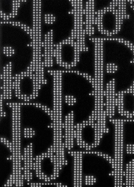 DIOR Oblique ストラップ ウォレット - Image 9