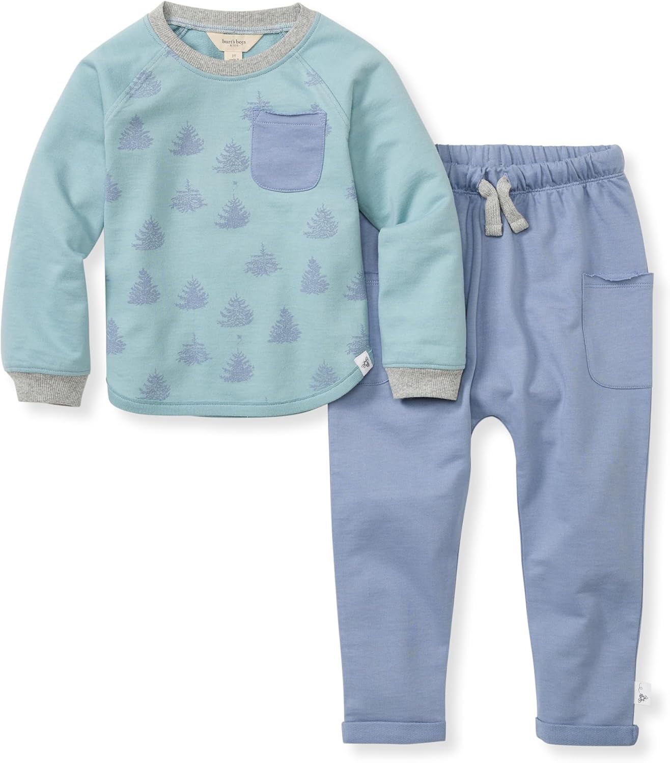 Burt's Bees Baby Boys Shirt and Pant Set, Long Sleeve Top & Bottom Outfit Bundle, 100% Organic Cotton
