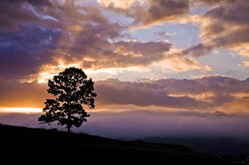 【日本の風景／地名のポストカード】岡山県蒜山高原の一本の木と朝焼けの雲 はがき お土産 ハガキ 撮影/絶景.com