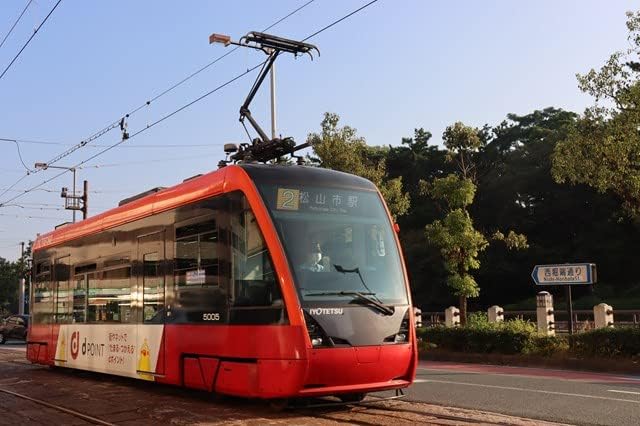 【鉄道のポストカード】愛媛県松山市 松山市駅行きの伊予鉄道低床路面電車 赤い車体と朝の並木道 はがき お土産 ハガキ 撮影/MIRO