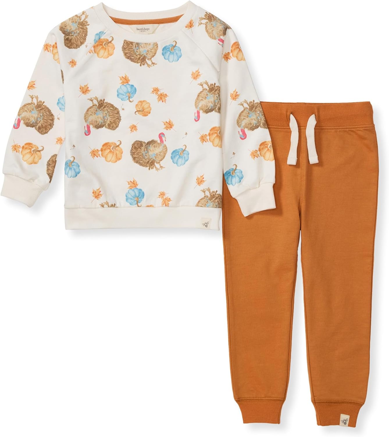Burt's Bees Baby Boys Shirt and Pant Set, Long Sleeve Top & Bottom Outfit Bundle, 100% Organic Cotton