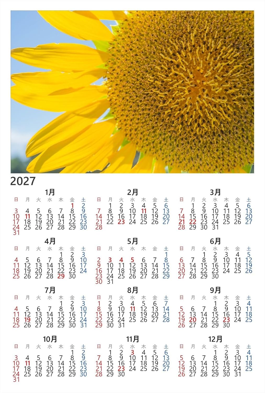 【2027年カレンダー】【花のポストカード】大分県豊後高田 長崎鼻 青空に咲く夏のひまわり はがき お土産 ハガキ 撮影/daikegoro