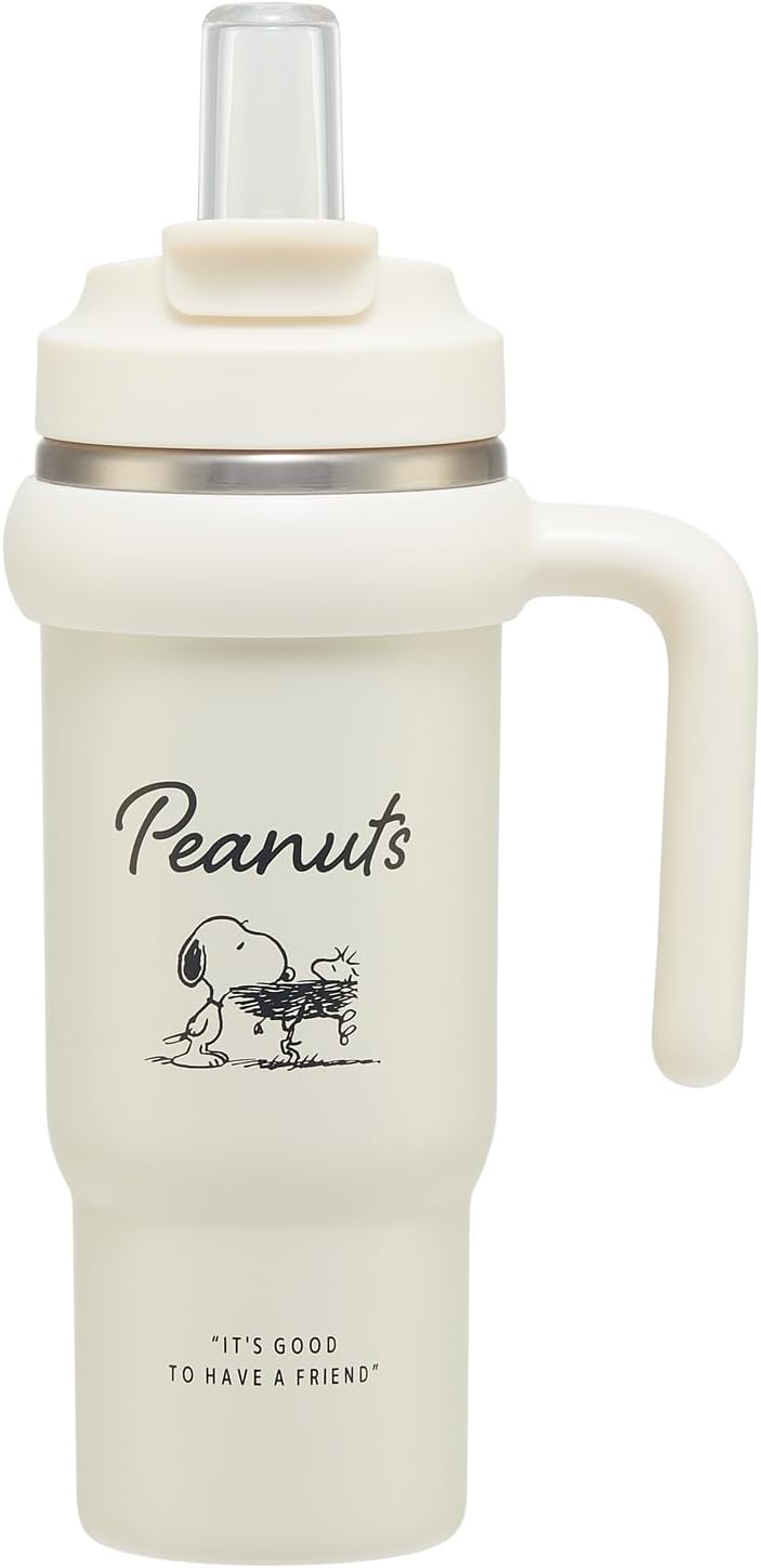 Skater Carabiner Handle Stainless Steel Bottle Thermal Insulated Vacuum Double Wall Construction Snoopy Badge STBC6-A 600ml