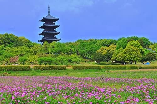 【日本の風景ポストカード】岡山県総社市 備中国分寺五重塔とれんげ畑 はがき お土産 ハガキ 撮影/kazukiatuko