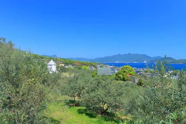 Postcard postcard postcard of Nishimura Koshodoshima Olive Park 1 Shodoshima Town, Shodoshima District, Kagawa Prefecture Photo by kazukiatuko