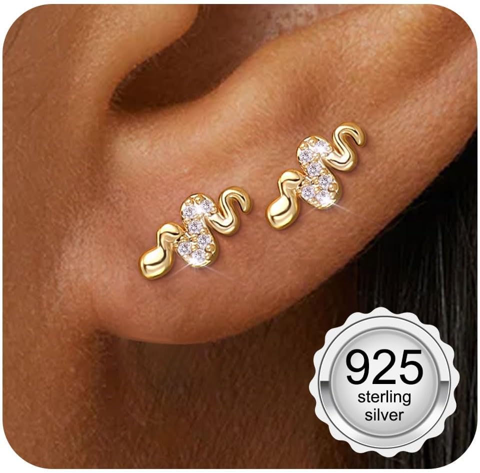 Adramata 925 Sterling Silver Earrings Women Girl Small Earrings Cubic Zirconia Hypoallergenic Piercing Ear Helix Tragus Earring Women Silver/Gold